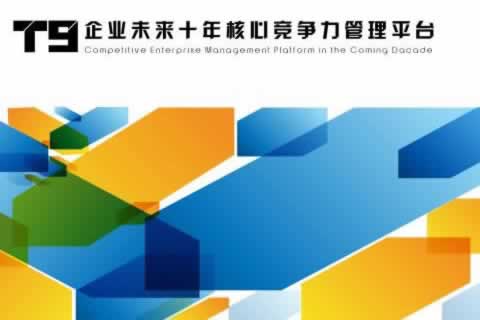 大中型企業應用-T9